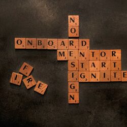 Termeni de referință // Selectarea unui manager al serviciului, Spălătorie Socială „Solidaritate”, orașul Căușeni